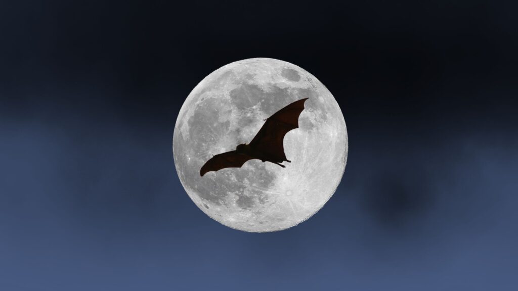 Vampire moon